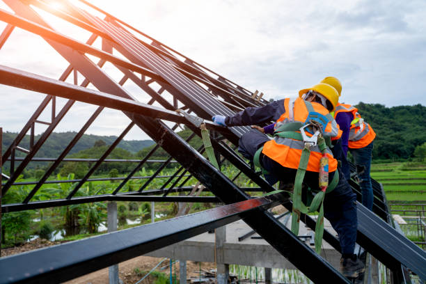Best Storm Damage Roof Repair  in Black Diamond, FL