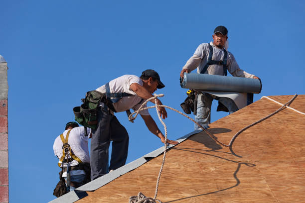 Best Residential Roofing Contractor  in Black Diamond, FL