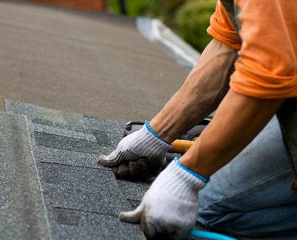 Best Roof Maintenance Services  in Black Diamond, FL