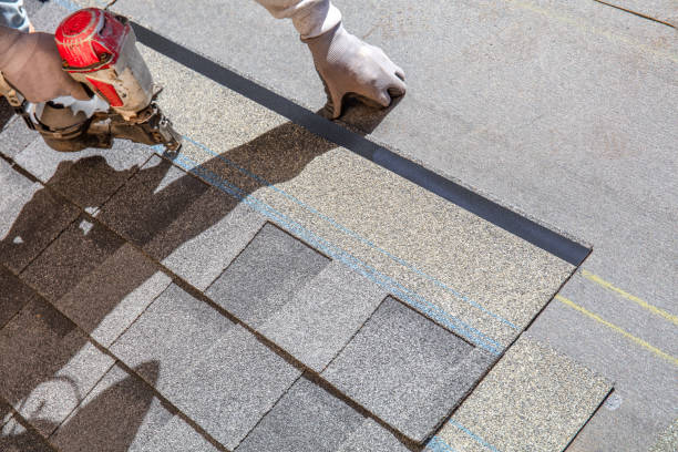 Best Residential Roof Replacement  in Black Diamond, FL